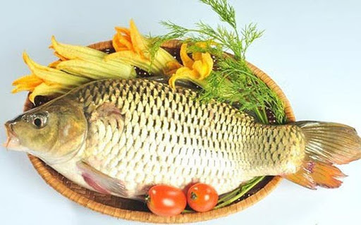 Thịt cá chép tự nhiên thơm ngon hơn cá nuôi