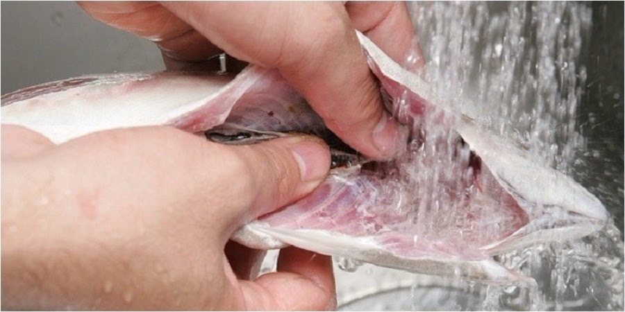 Mẹo giúp làm sạch cá chép hiệu quả