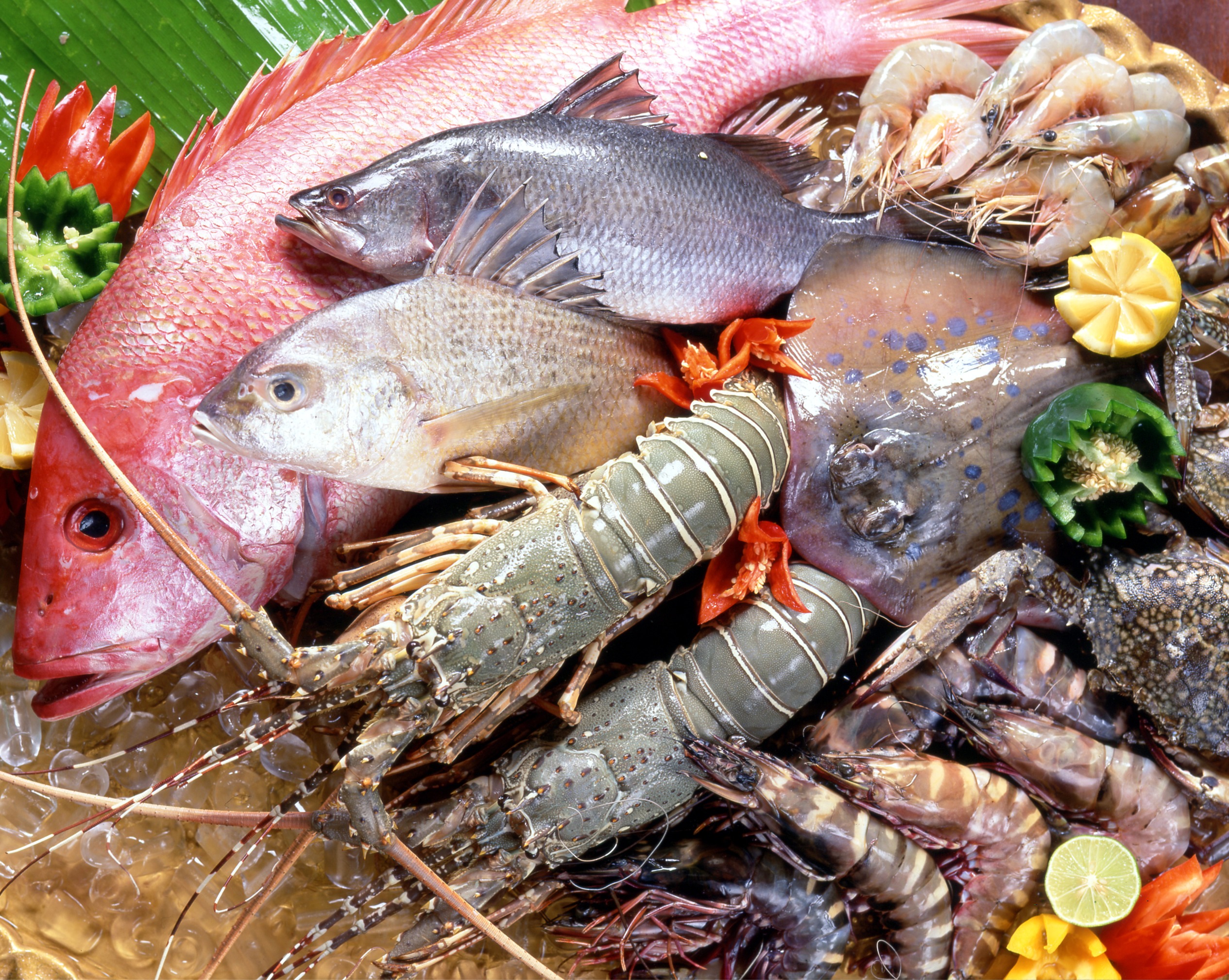 Bí quyết đóng gói vận chuyển hải sản tươi sống - Cá kho & cá khô